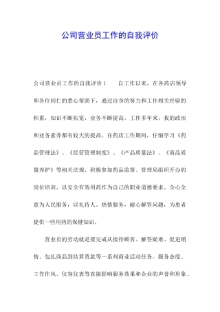 公司营业员工作的自我评价