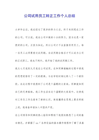 公司试用员工转正工作个人总结-