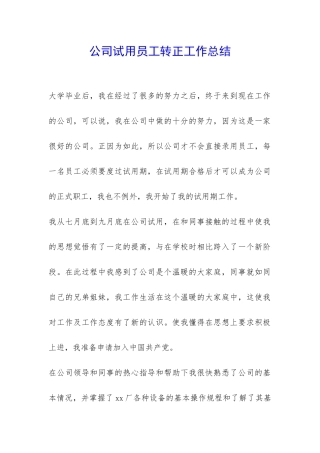 公司试用员工转正工作总结-