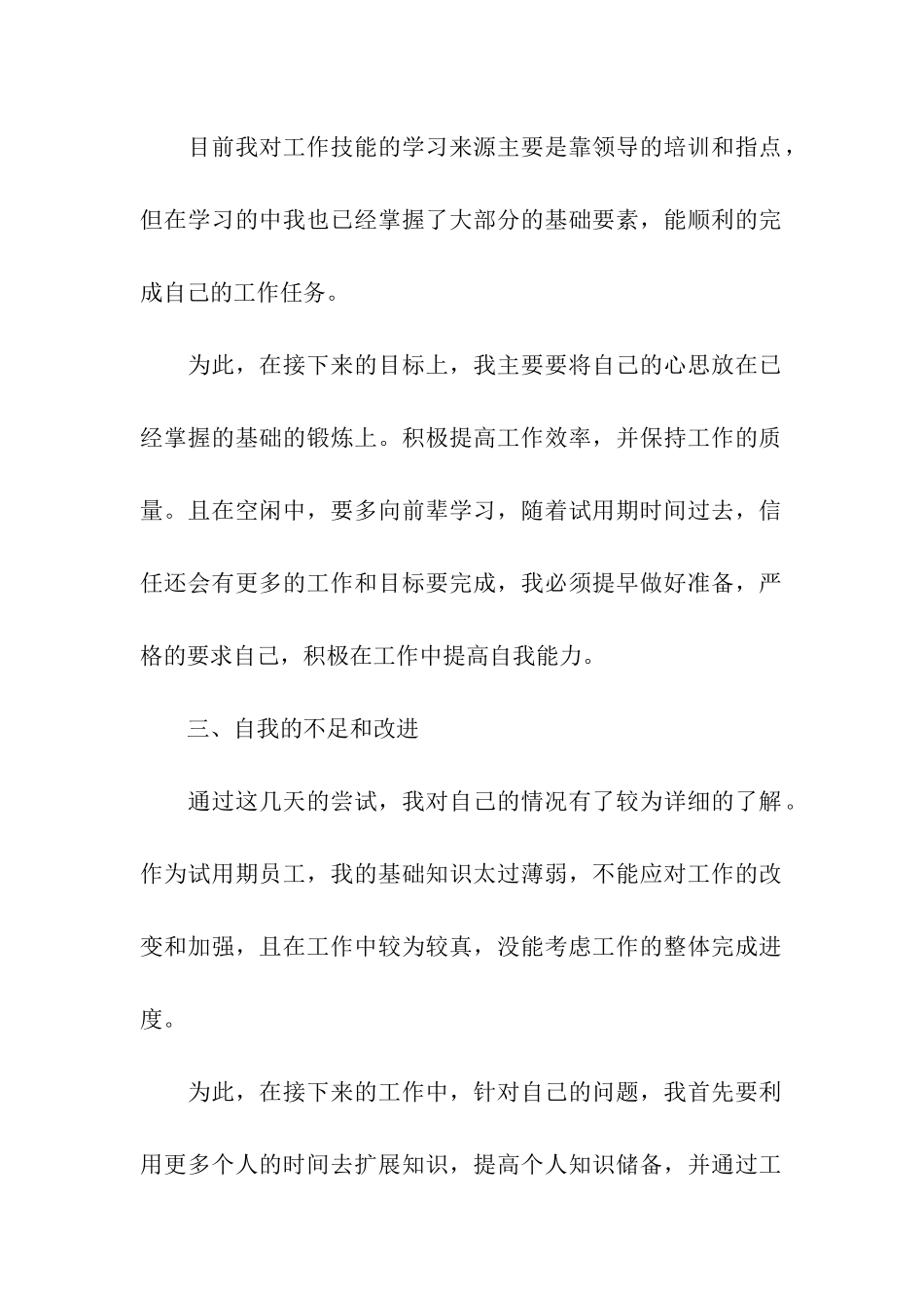 公司试用期工作计划_第2页