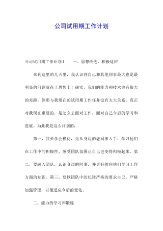 公司试用期工作计划