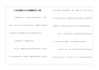 公司试用期工作心得最新范文5篇