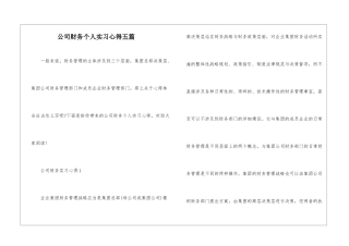 公司财务个人实习心得五篇