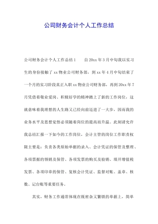 公司财务会计个人工作总结
