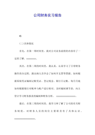 公司财务实习报告