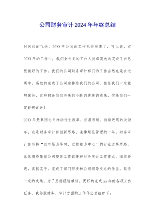 公司财务审计2024年年终总结-