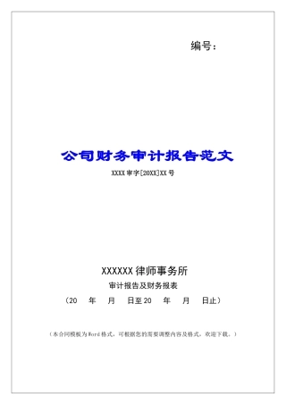 公司财务审计报告范文