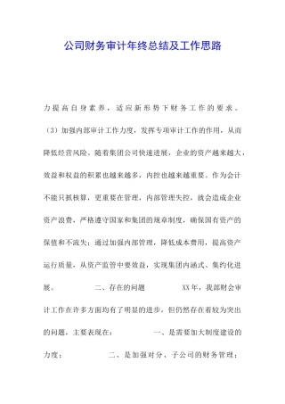公司财务审计年终总结及工作思路-