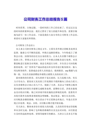 公司财务工作总结报告5篇