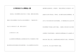 公司财务实习心得精选5篇