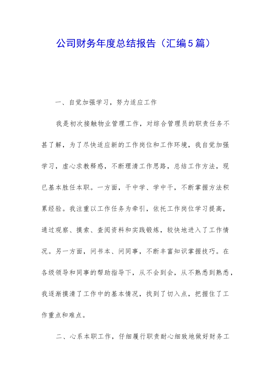 公司财务年度总结报告_第1页