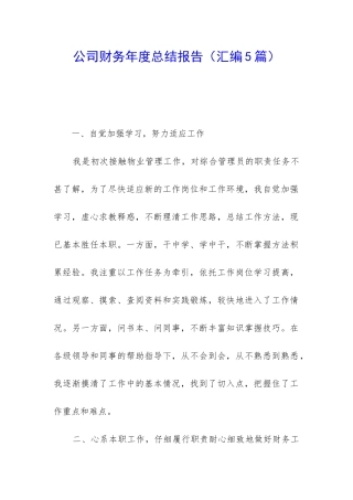 公司财务年度总结报告