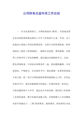 公司财务总监年终工作总结