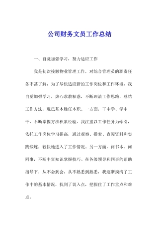 公司财务文员工作总结