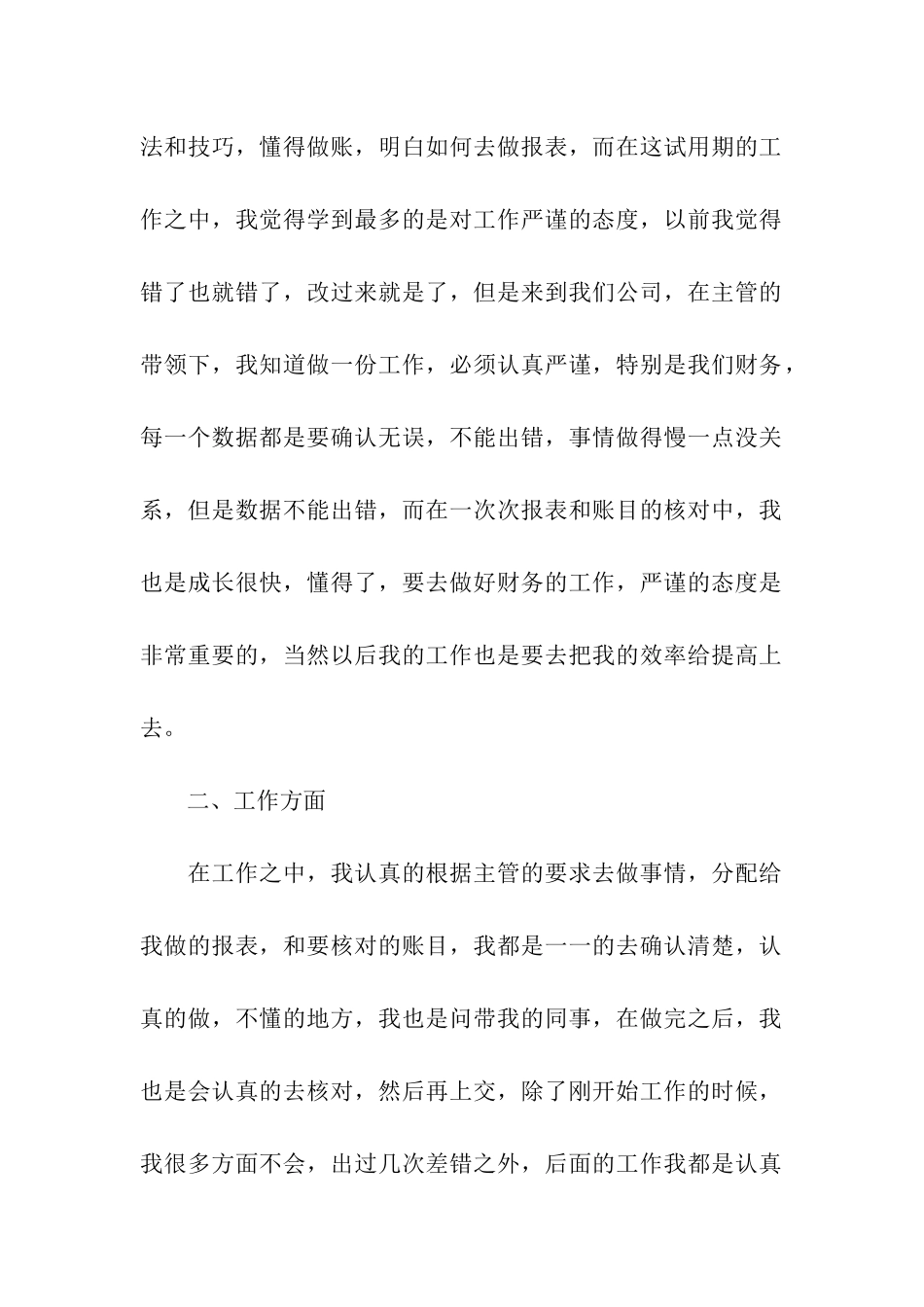 公司财务试用期工作总结_第2页