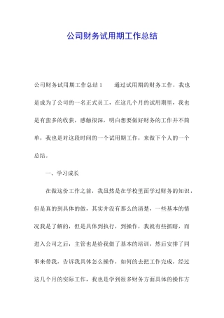 公司财务试用期工作总结