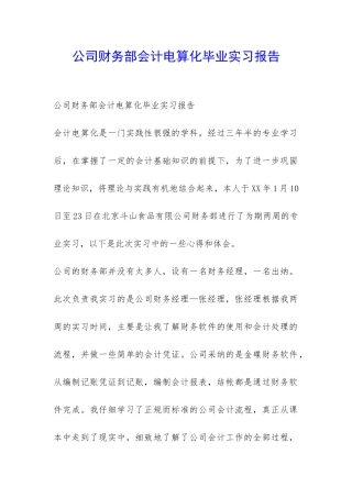 公司财务部会计电算化毕业实习报告-