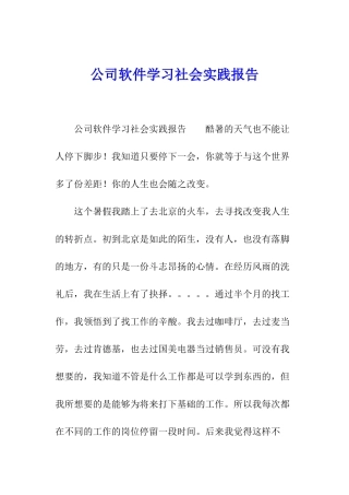 公司软件学习社会实践报告