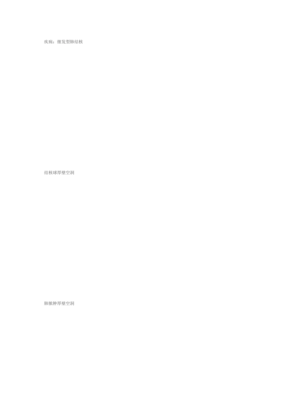 肺部CT十大征象_第2页