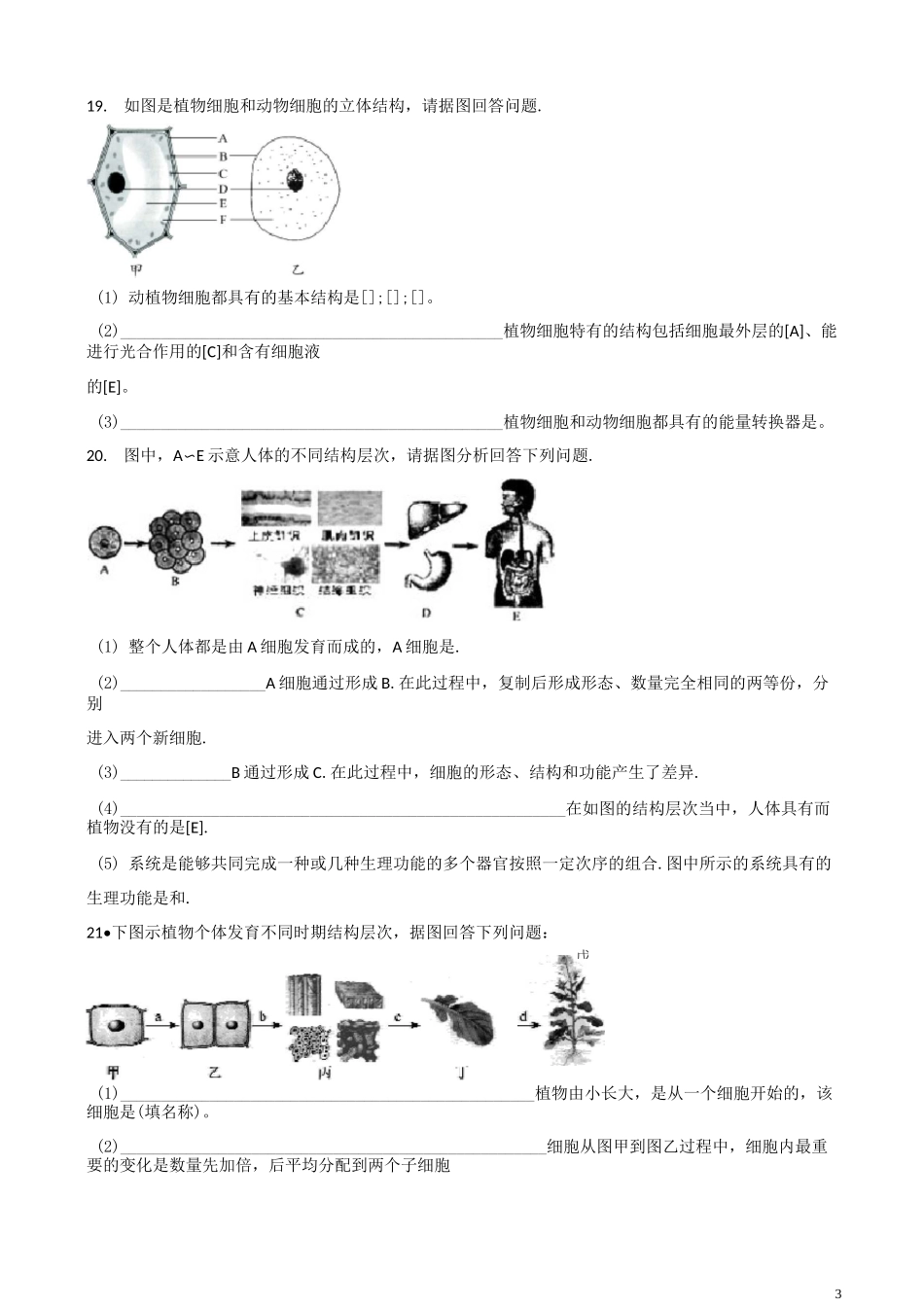 济南版七年级上册生物 第一单元 第2章 观察生物结构 练习题(含答案)_第3页