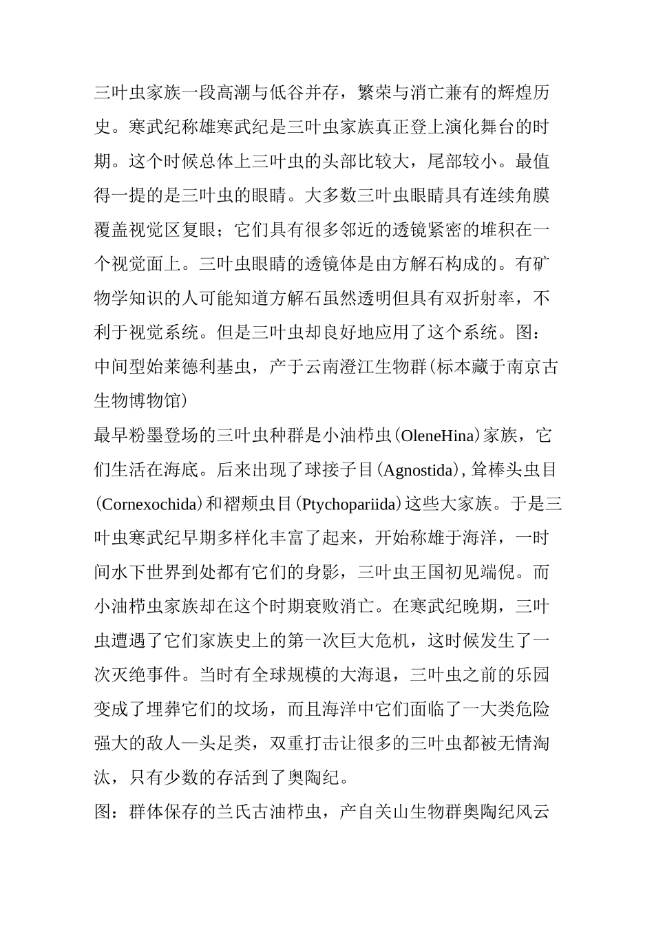 三叶虫的兴衰史_第2页