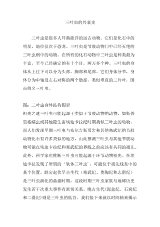 三叶虫的兴衰史