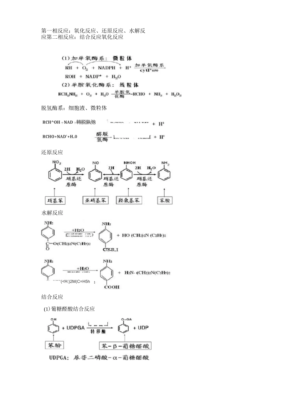 生物化学教案-第十四章肝脏生化-2学时_第3页