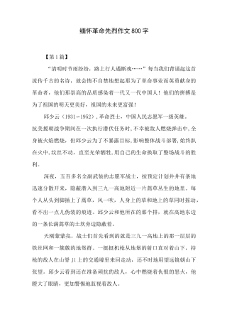 缅怀革命先烈作文800字