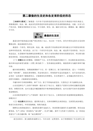 蚕的生活史和各发育阶段的形态