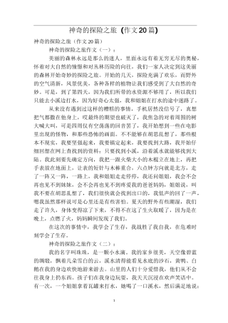 神奇的探险之旅(作文20篇)