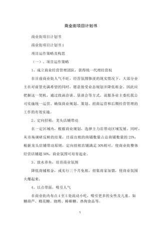 商业街项目计划书