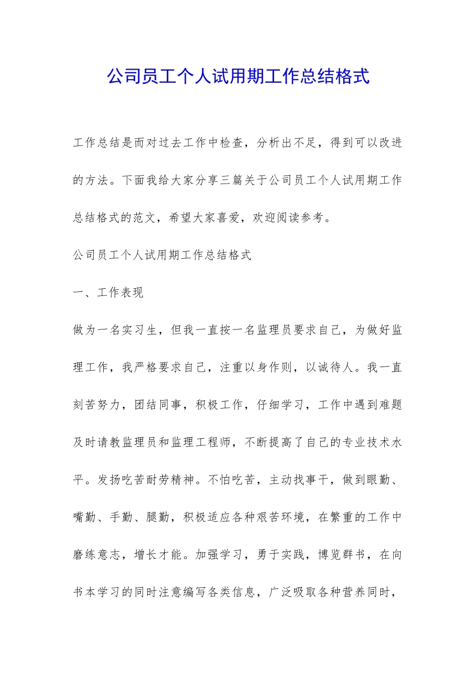 公司员工个人试用期工作总结格式-_第1页