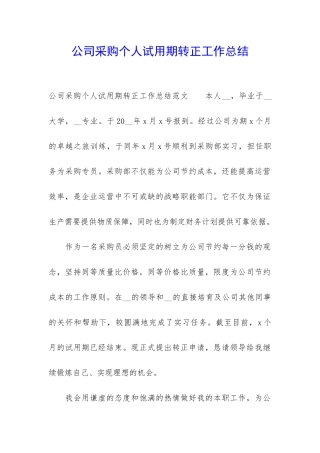 公司采购个人试用期转正工作总结