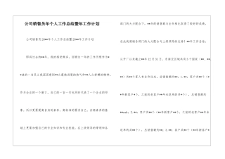 公司销售员年个人工作总结暨年工作计划--