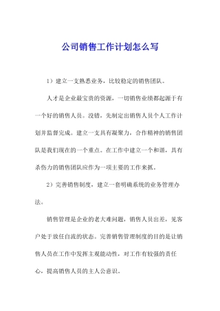 公司销售工作计划怎么写