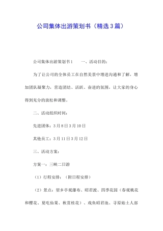 公司集体出游策划书
