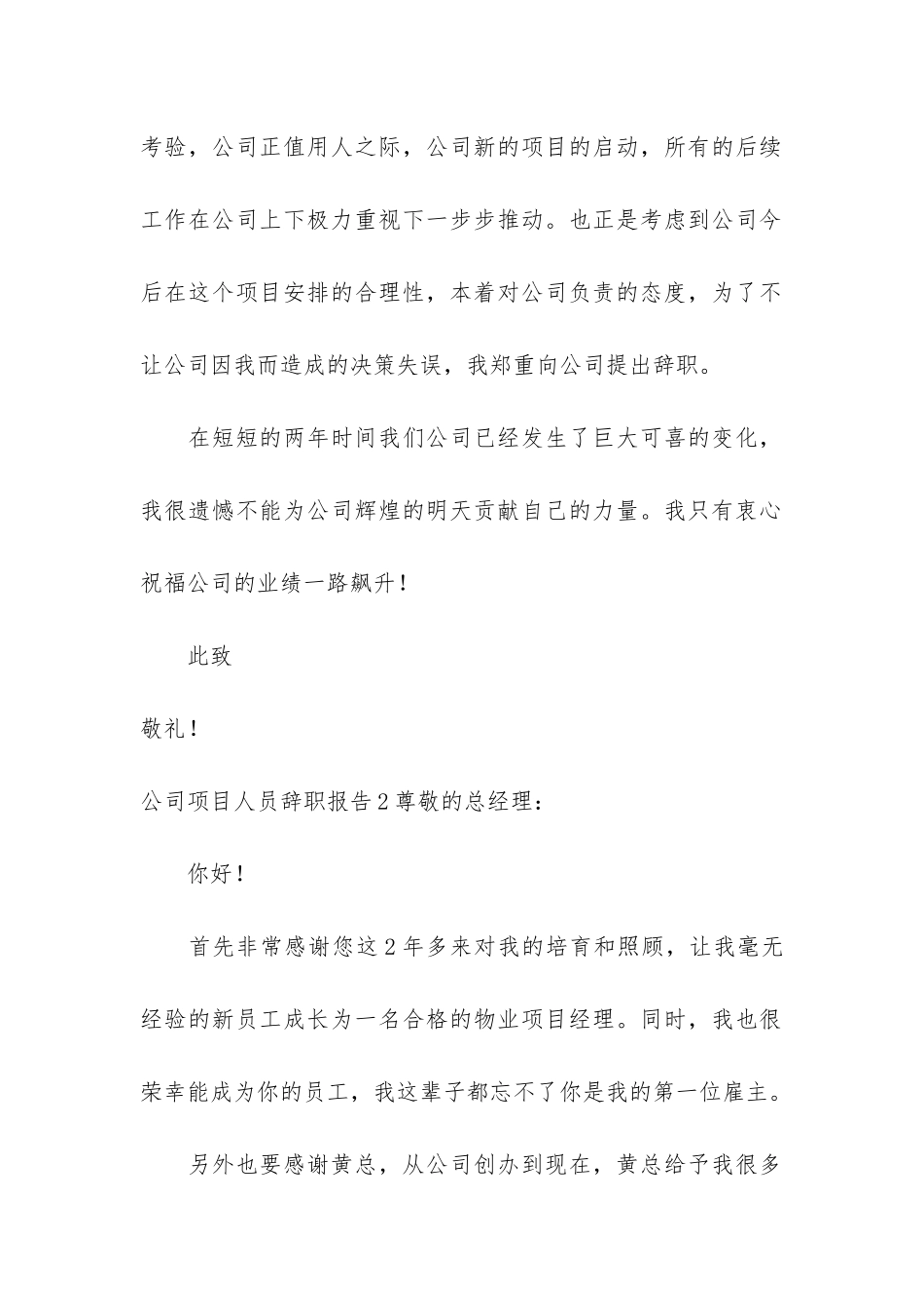 公司项目人员辞职报告3篇_第2页