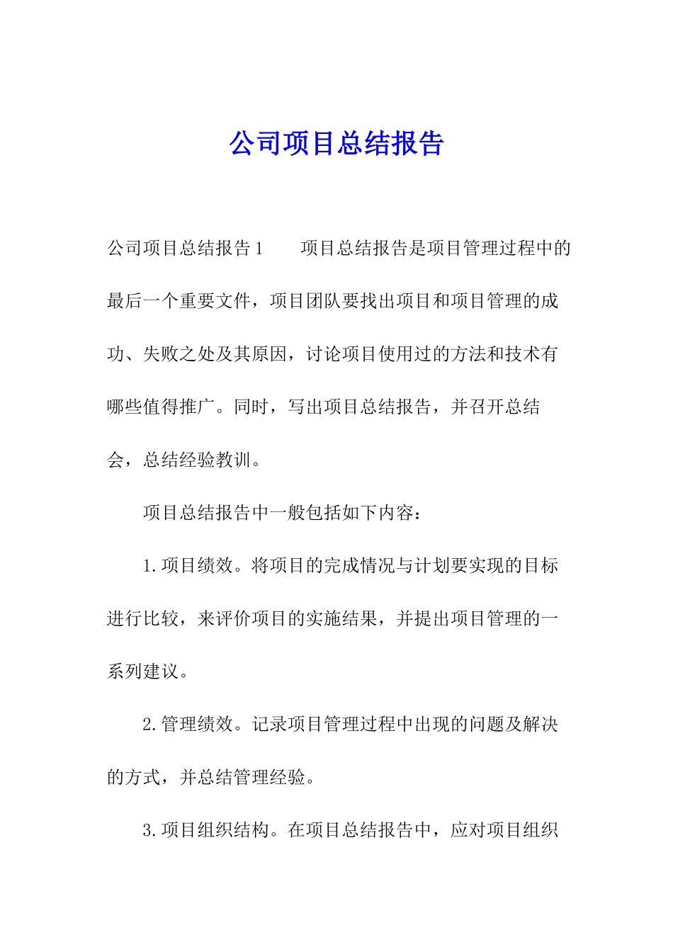 公司项目总结报告_第1页