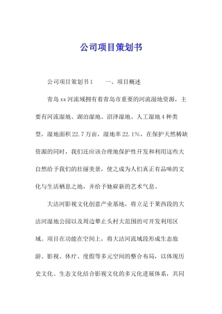 公司项目策划书