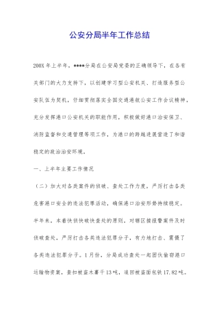 公安分局半年工作总结-