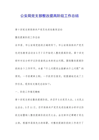 公安局党支部整改提高阶段工作总结-