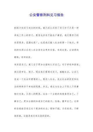 公安警察刑科见习报告-