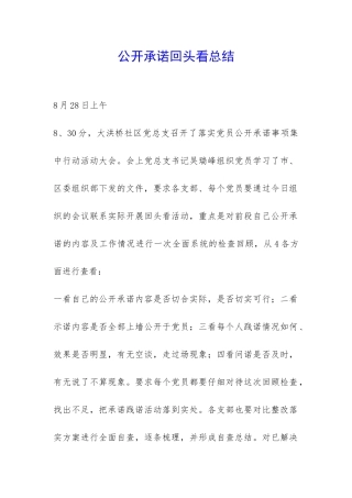 公开承诺回头看总结-