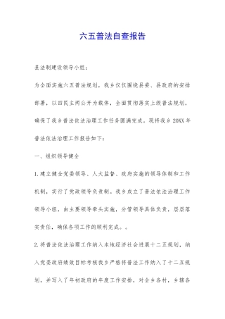 六五普法自查报告-