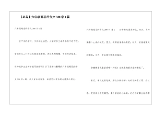 六年级菊花的作文300字4篇