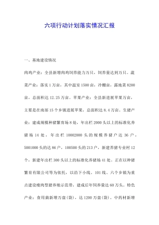 六项行动计划落实情况汇报