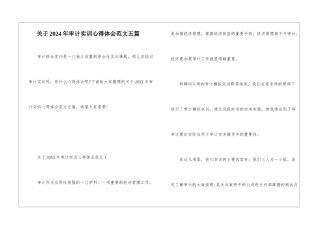 关于2024年审计实训心得体会范文五篇