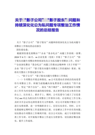 关于“影子公司”“影子股东”问题和持续深化化公为私问题专项整治工作情况的总结报告