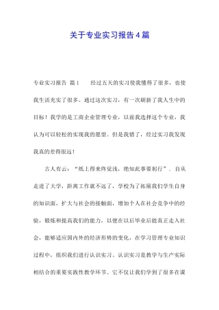 关于专业实习报告4篇