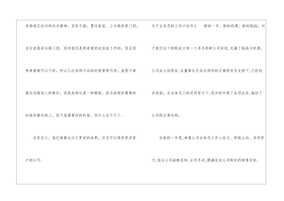 关于业务员的工作计划书_第3页